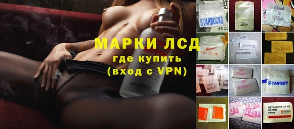 кокс Гусев