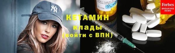 ECSTASY Гусь-Хрустальный