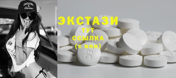 ECSTASY Гусь-Хрустальный
