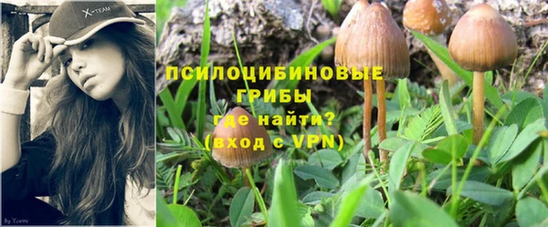 синтетический гашиш Гусиноозёрск