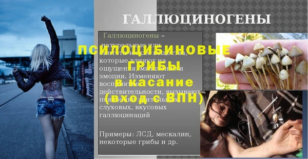 кокс Гусев