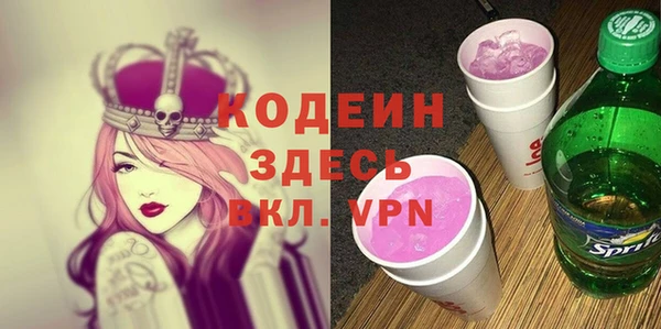МДПВ Дмитриев