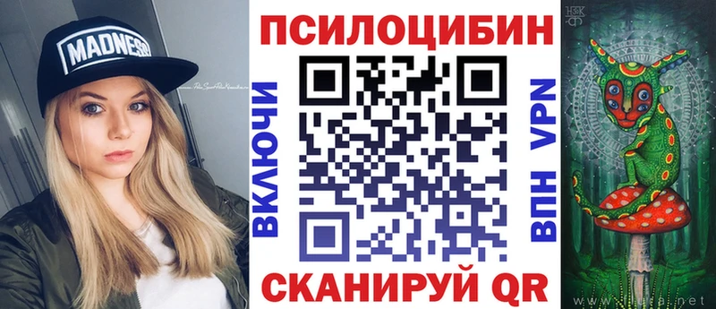 Купить закладки  Павловский Посад  Галлюциногенные грибы Psilocybe 